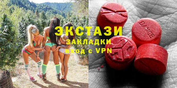 гашик Няндома
