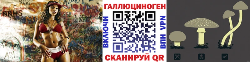 Псилоцибиновые грибы MAGIC MUSHROOMS  продажа наркотиков  Шадринск 