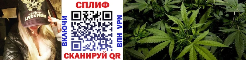 Канабис планчик  цены наркотик  Шадринск 