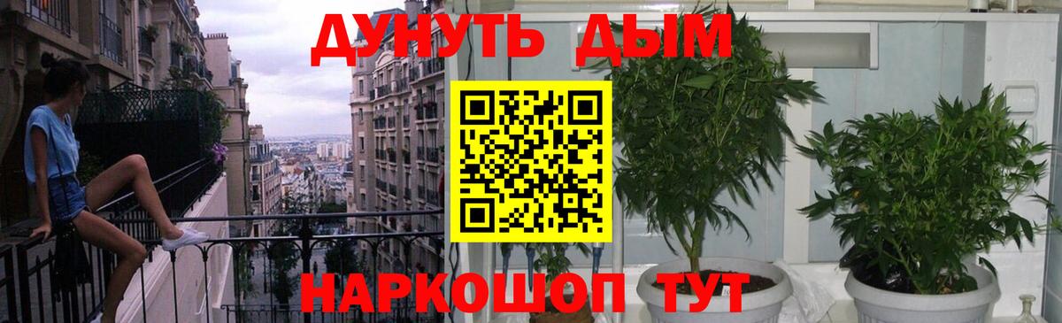 Шадринск  Шишки марихуана планчик  МАРИХУАНА White Widow  Канабис Bruce Banner  Каннабис Bruce Banner  Вход с VPN 